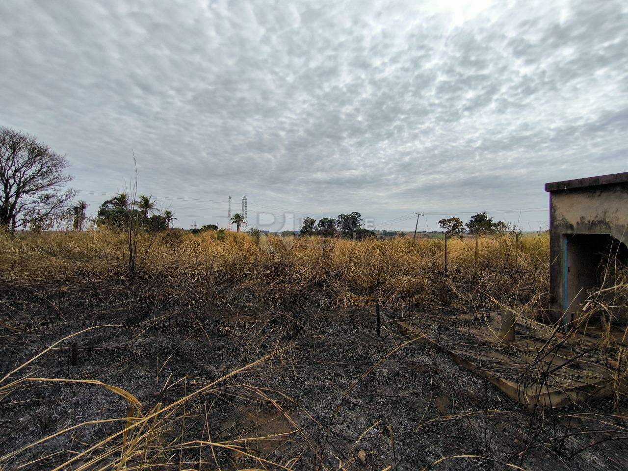 Área à venda no bairro Área Rural de Limeira: 