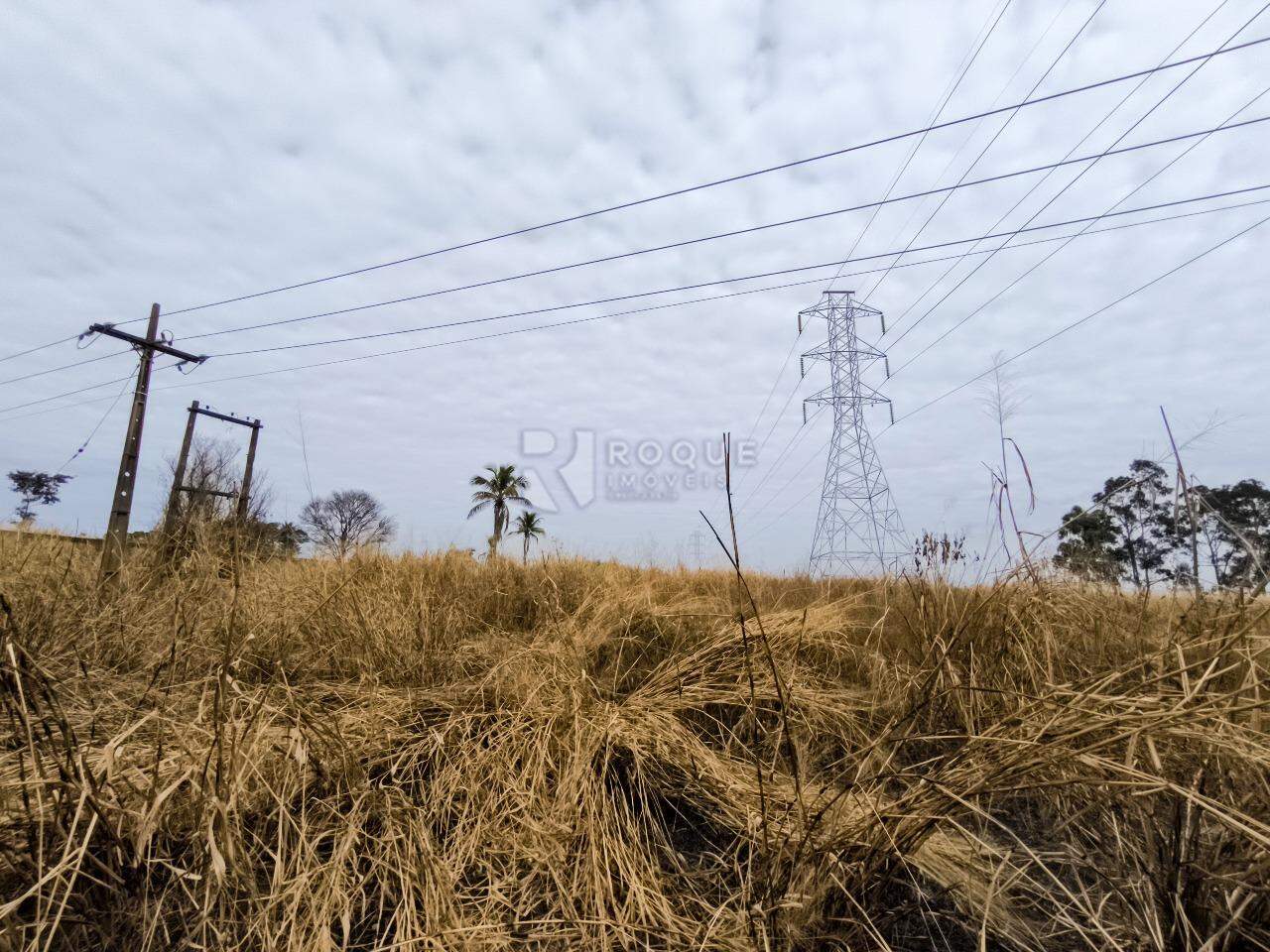 Área à venda no bairro Área Rural de Limeira: 