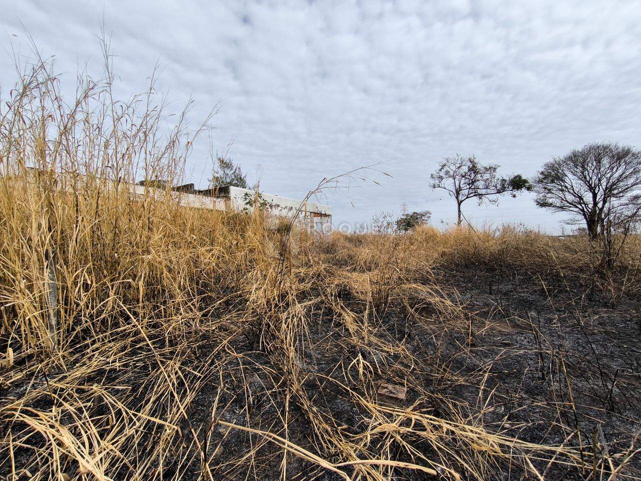 Área à venda no bairro Área Rural de Limeira: 