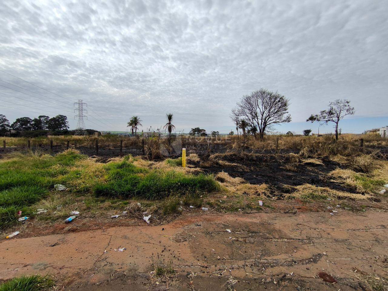 Área à venda no bairro Área Rural de Limeira: 