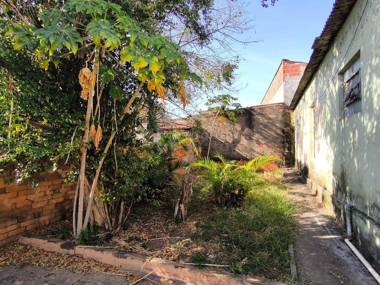 Casa Residencial à venda no bairro Vila Paulista: QUINTAL