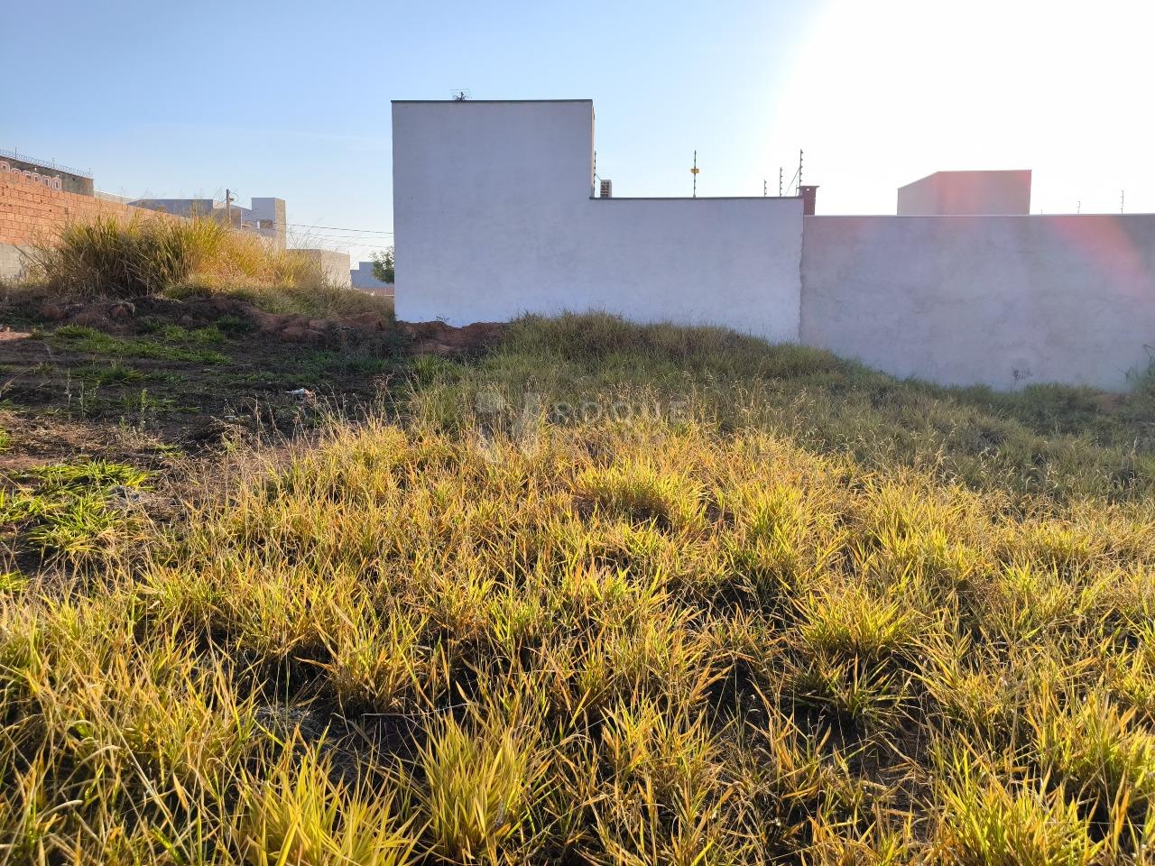 Terreno à venda no bairro Jardim Marajoara: 