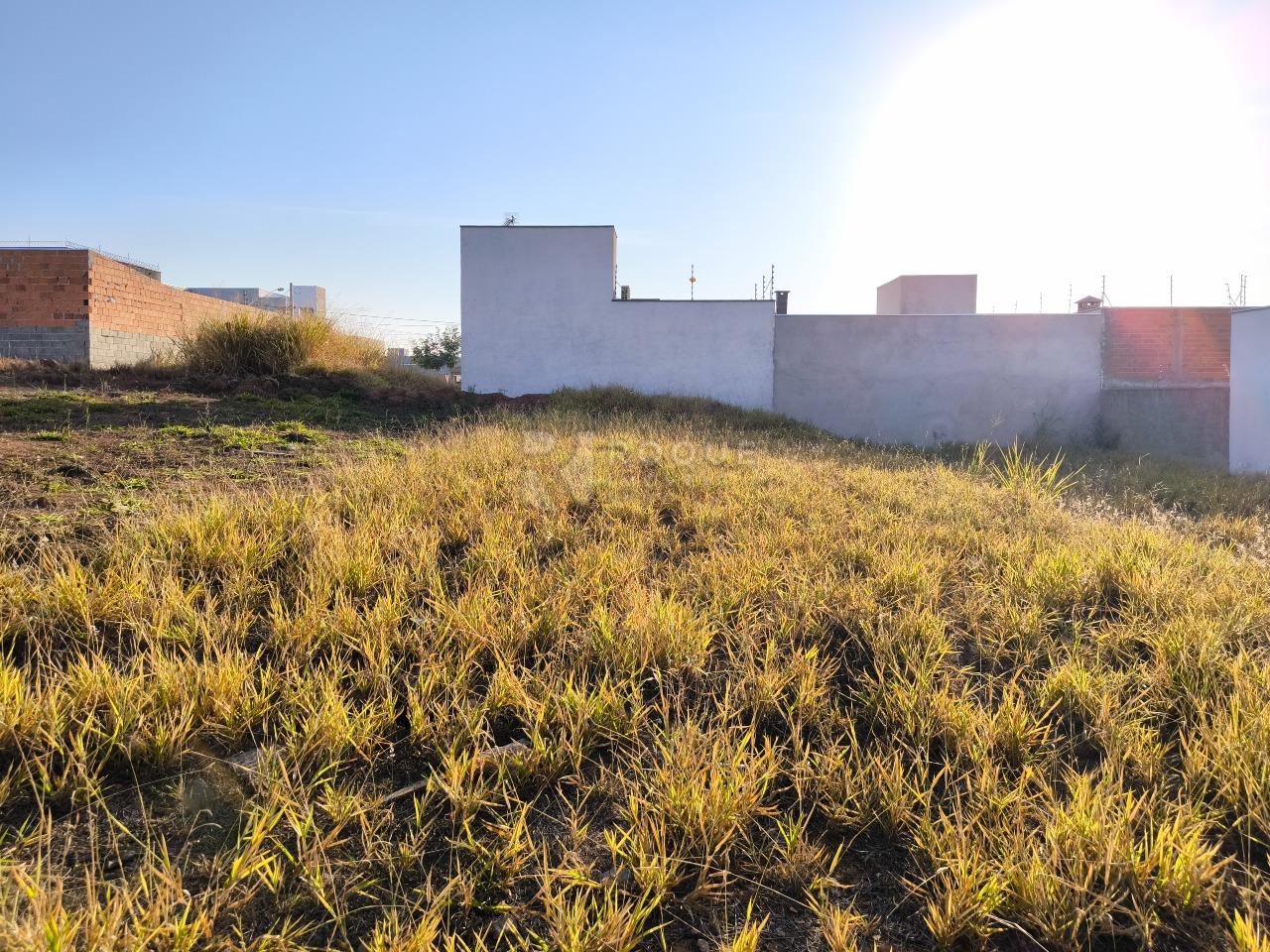 Terreno à venda no bairro Jardim Marajoara: 
