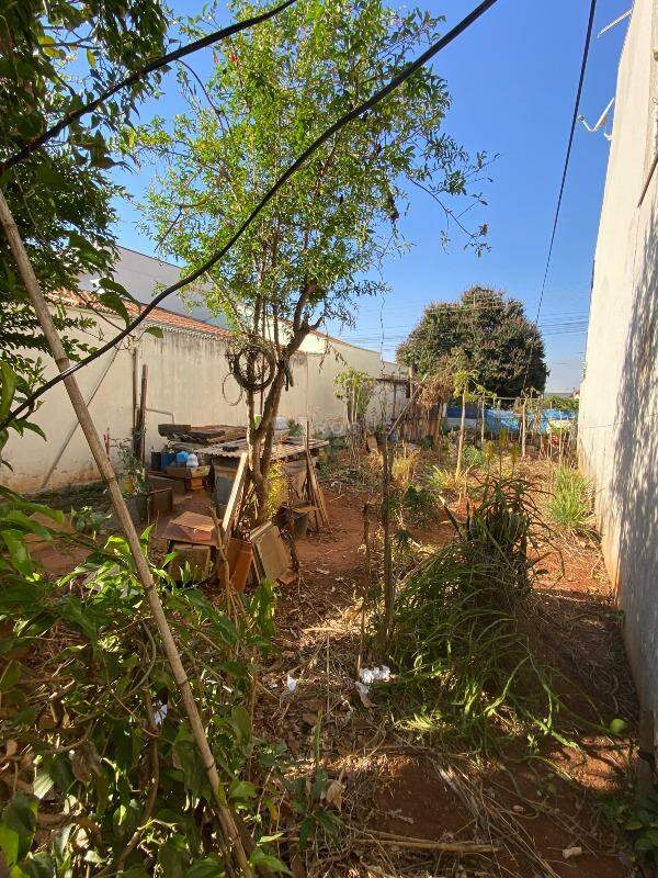 Terreno à venda no bairro Jardim Campo Belo: 