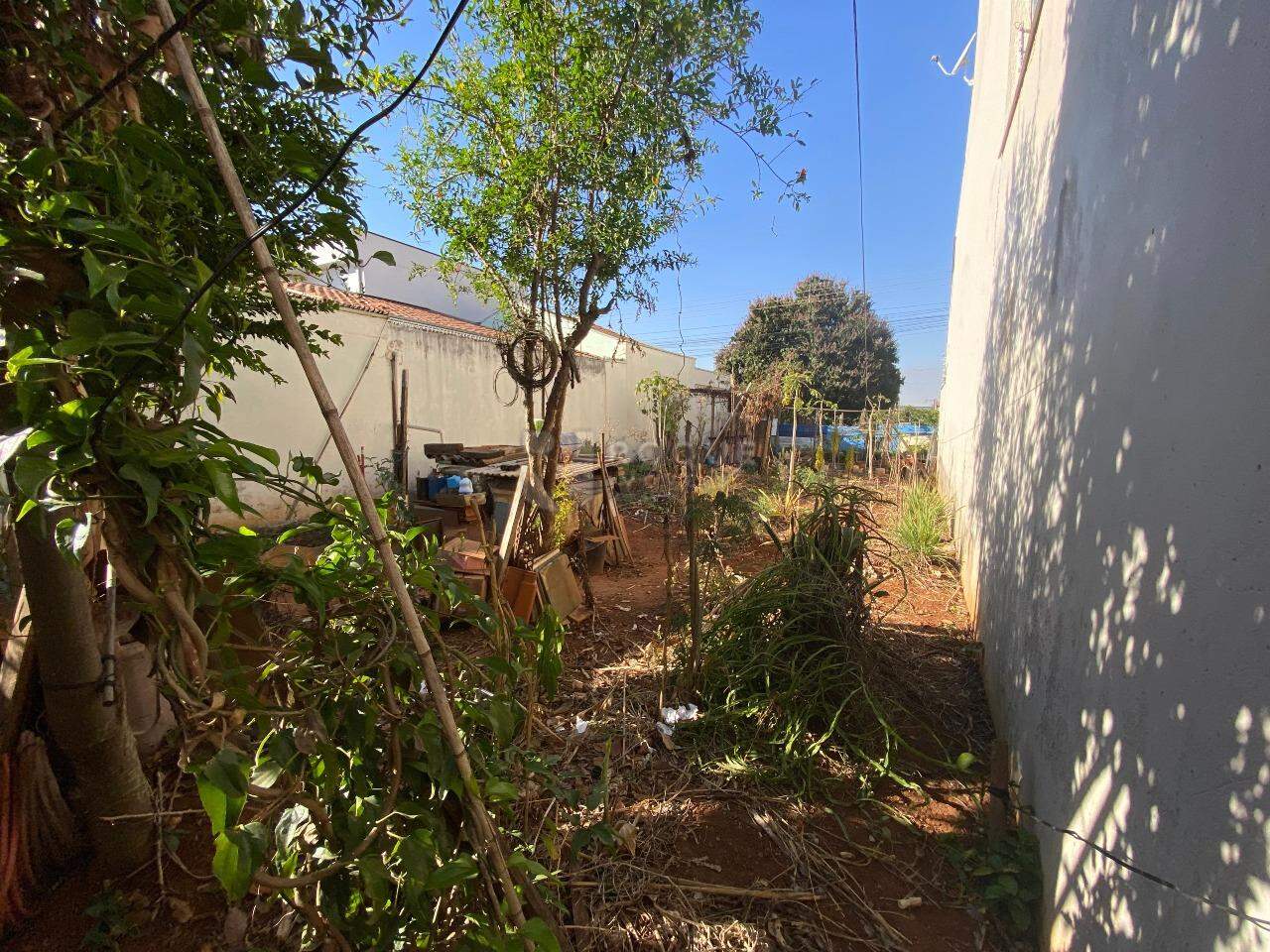 Terreno à venda no bairro Jardim Campo Belo: 