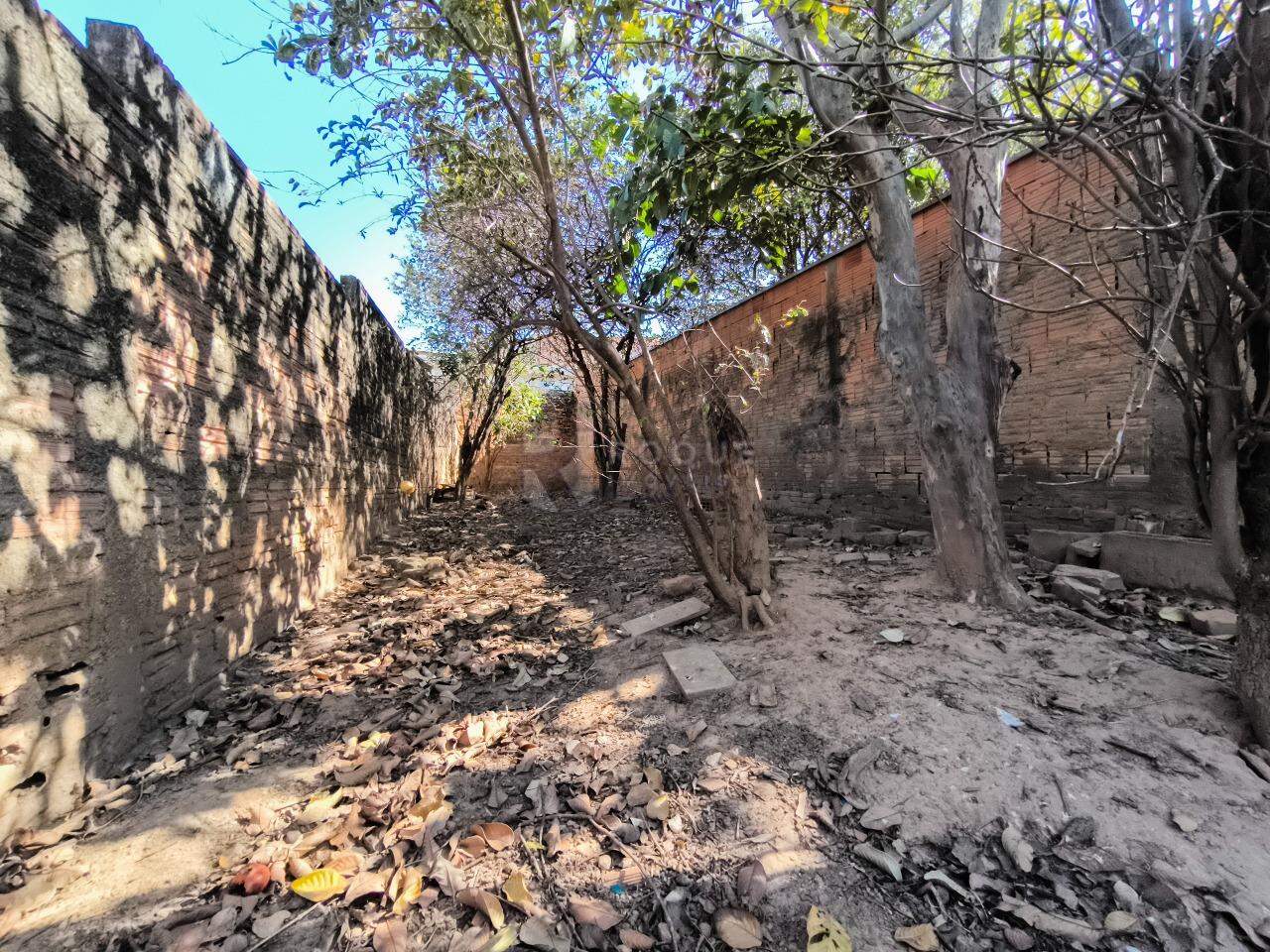 Casa Residencial à venda no bairro Vila Santa Lucia: QUINTAL