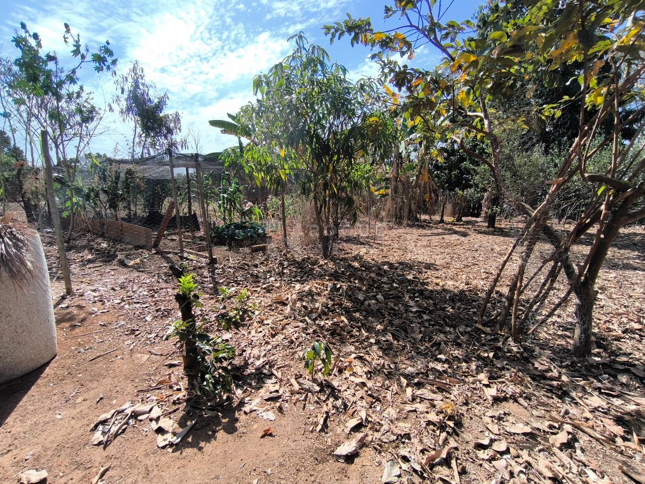 Chácara à venda no bairro Área Rural de Limeira: 