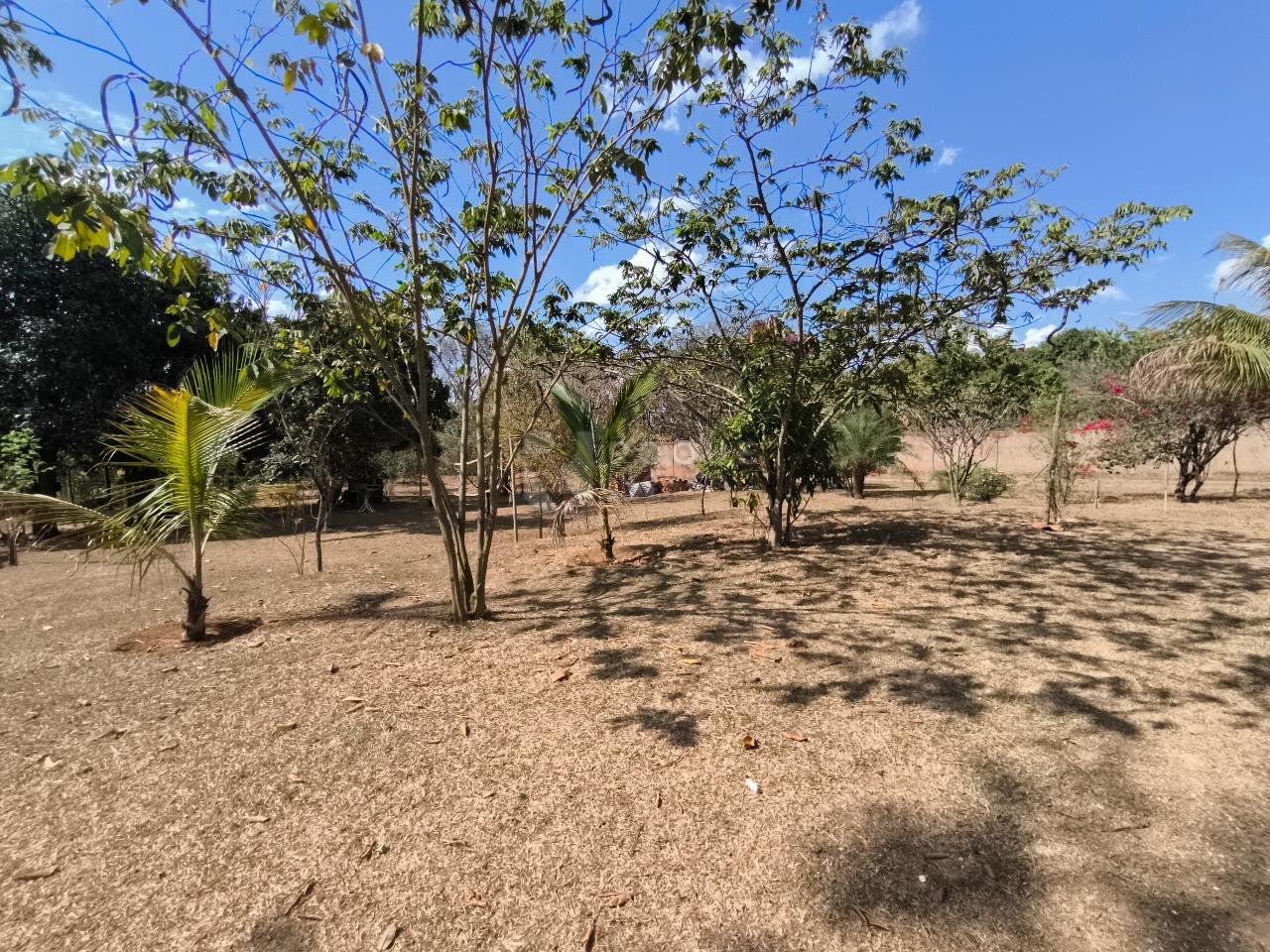 Chácara à venda no bairro Área Rural de Limeira: 