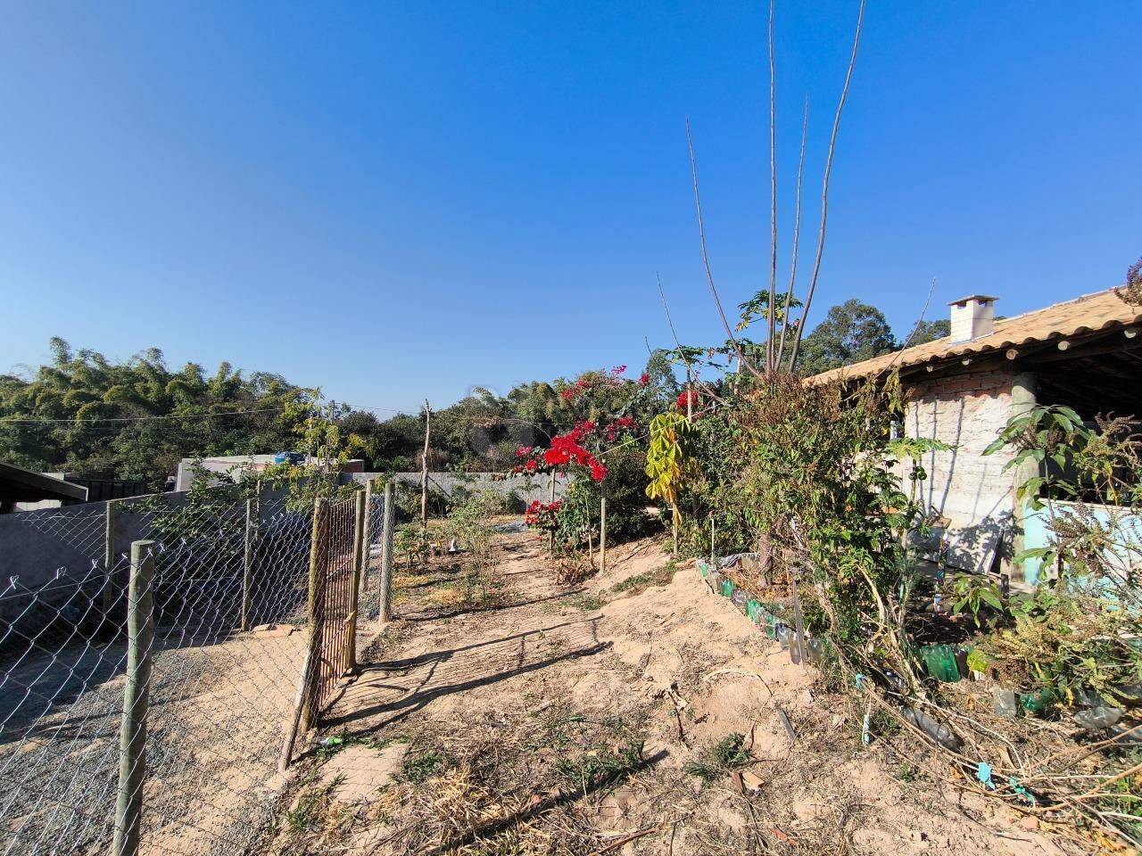 Chácara à venda no bairro Pires de Baixo: QUINTAL