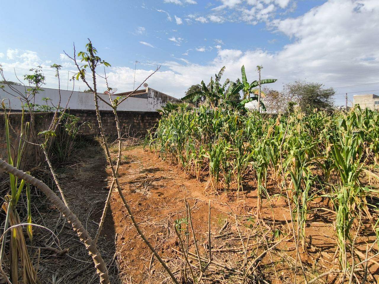 Terreno à venda no bairro Jardim Residencial Village: 