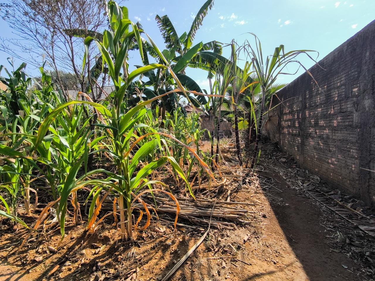 Terreno à venda no bairro Jardim Residencial Village: 