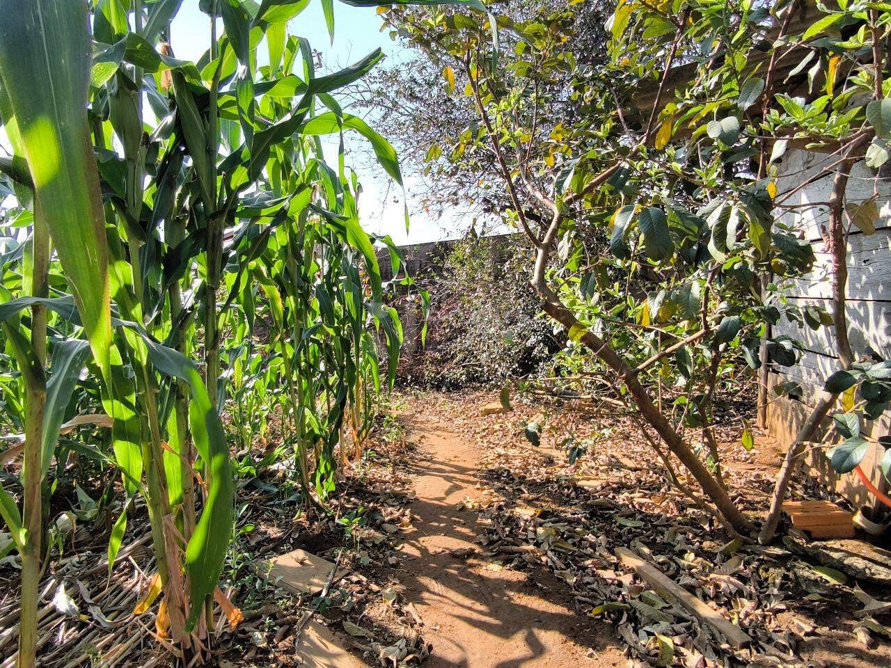 Terreno à venda no bairro Jardim Residencial Village: 