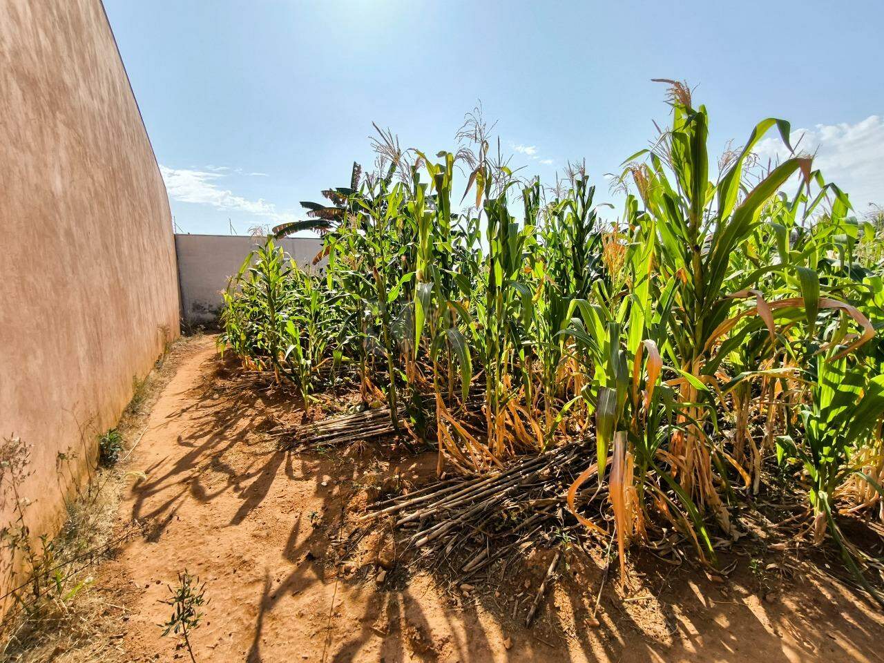 Terreno à venda no bairro Jardim Residencial Village: 