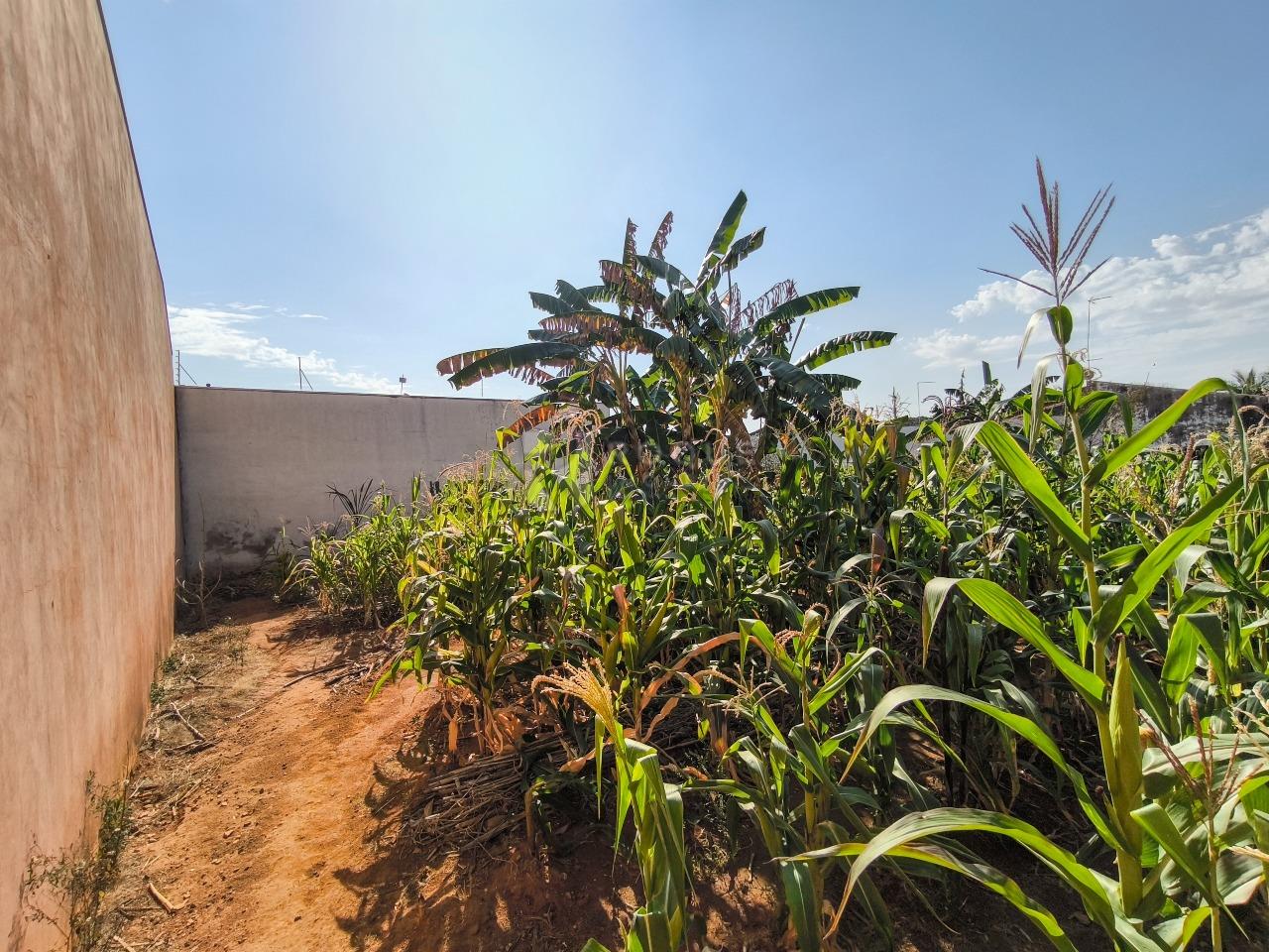 Terreno à venda no bairro Jardim Residencial Village: 