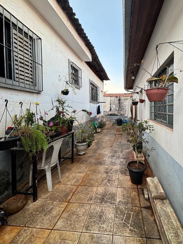 Casa com salão à venda no bairro Vila Piza: Quintal