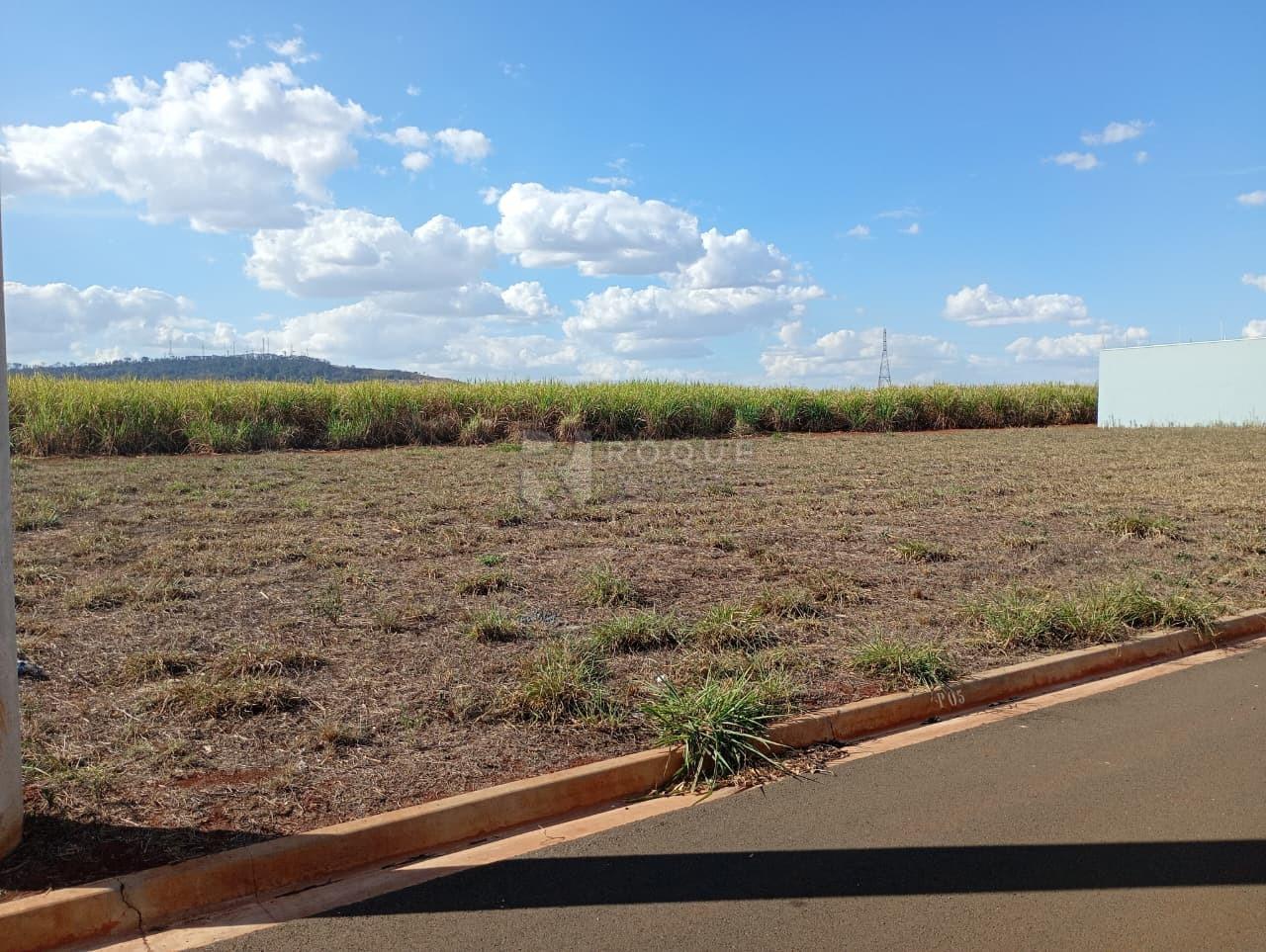 Terreno à venda no bairro Residencial Colinas do Engenho II: 