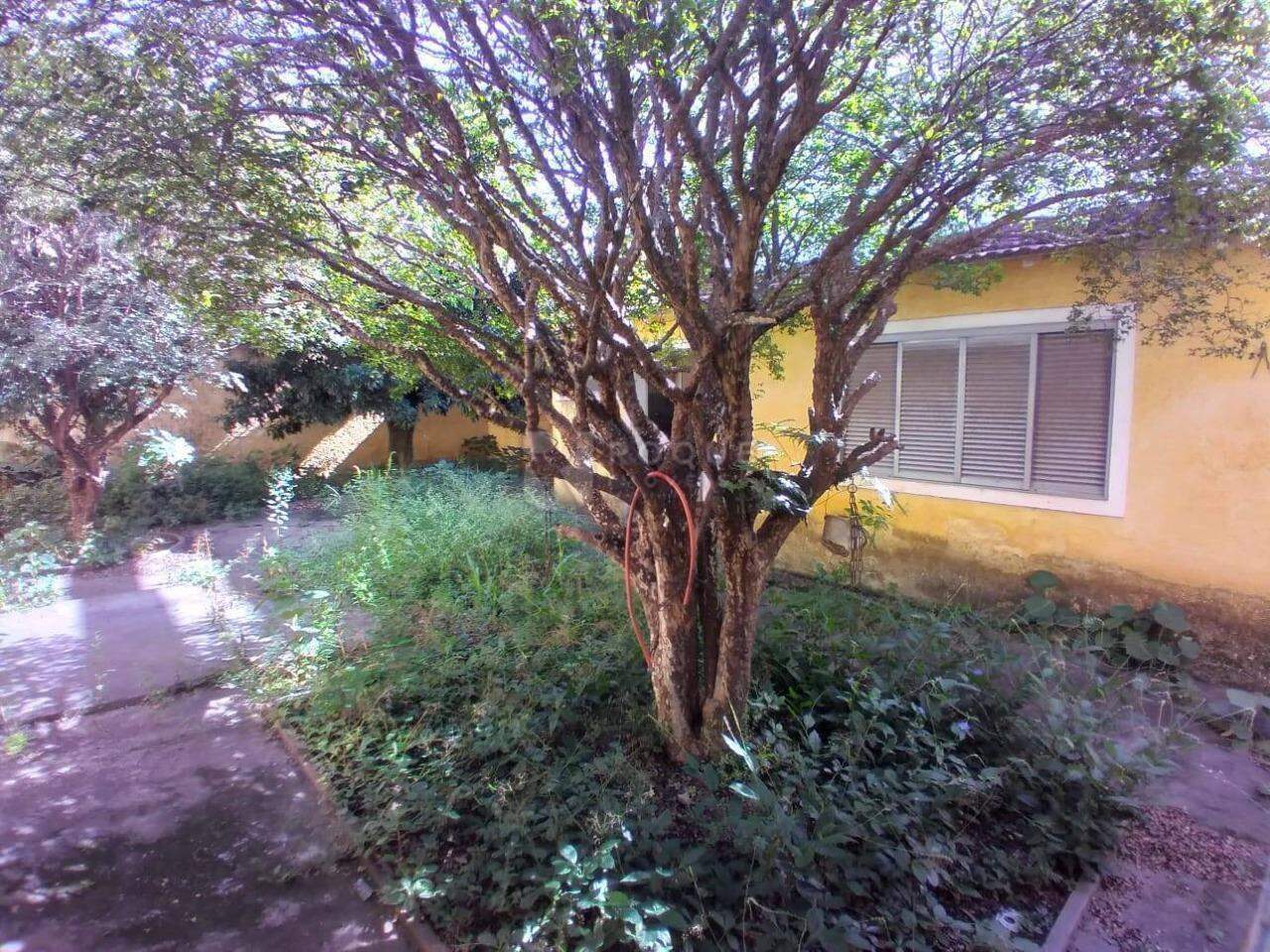 Casa Comercial à venda no bairro Centro: quintal