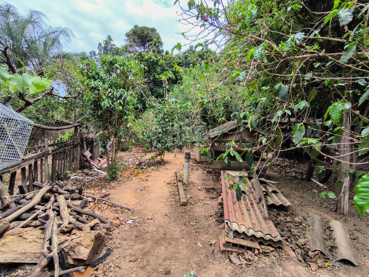 Chácara à venda no bairro Área Rural de Limeira: ÁREA DE PLANTIO