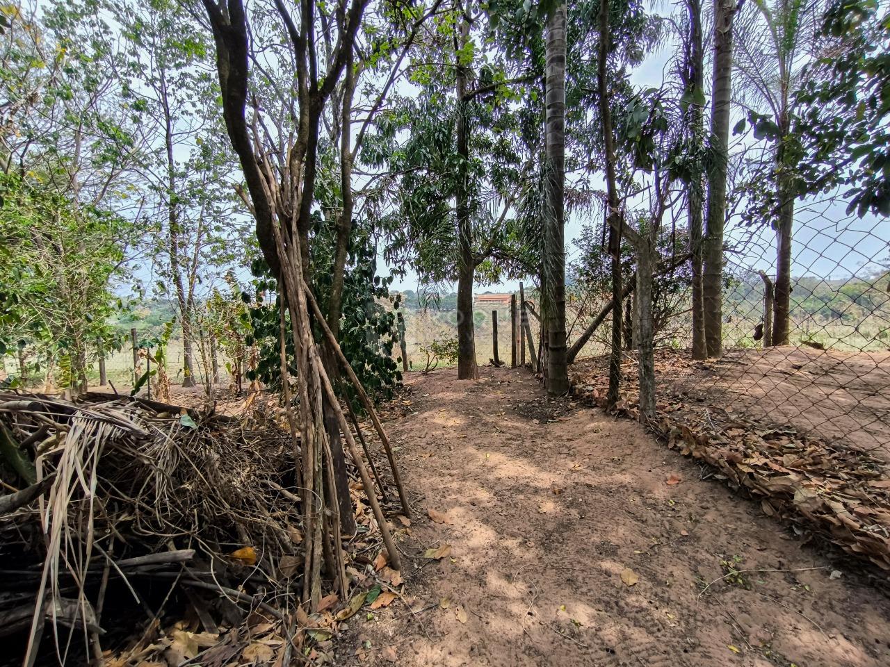 Chácara à venda no bairro Área Rural de Limeira: ÁREA VERDE