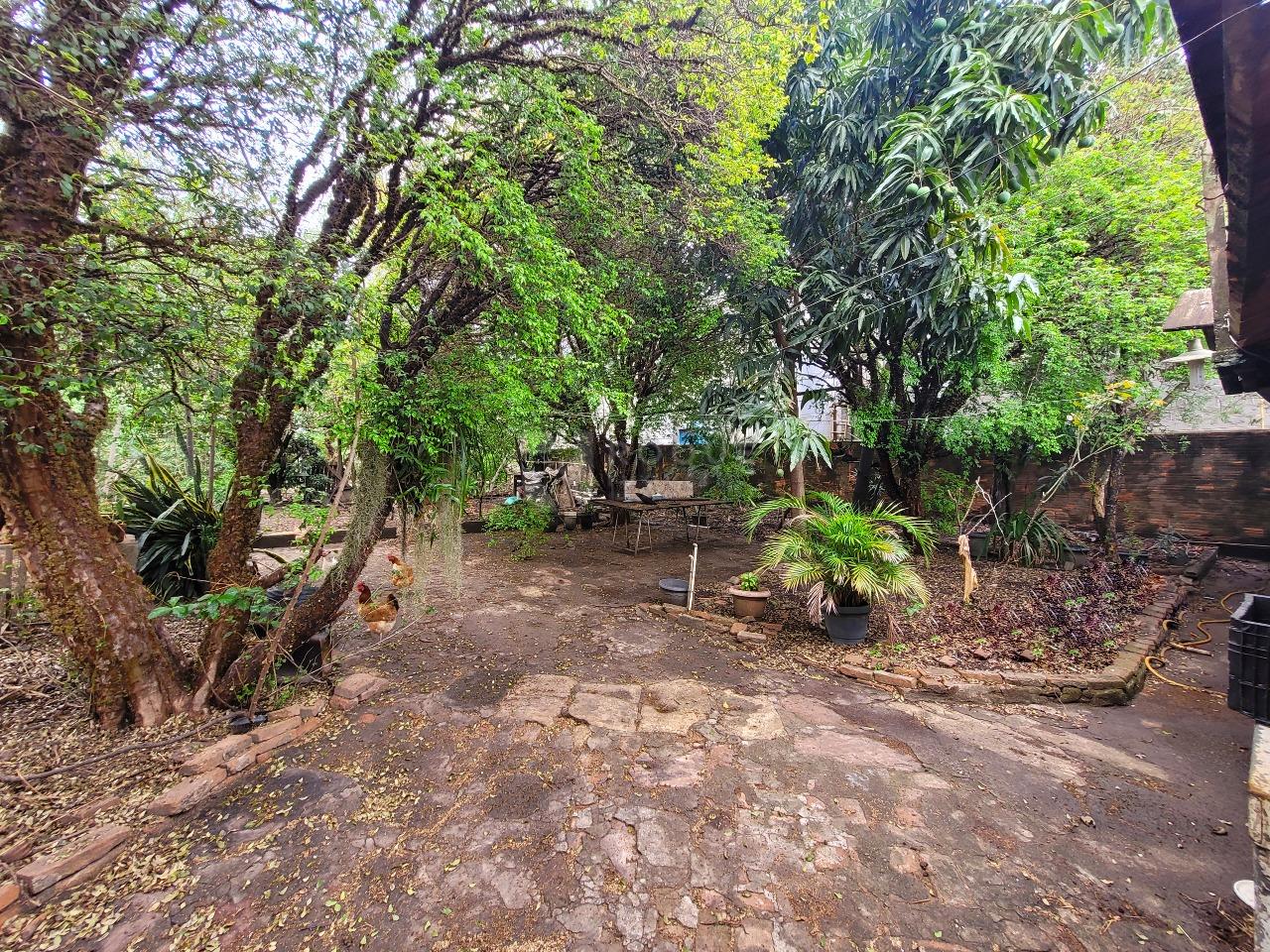 Terreno à venda no bairro Vila Camargo: 