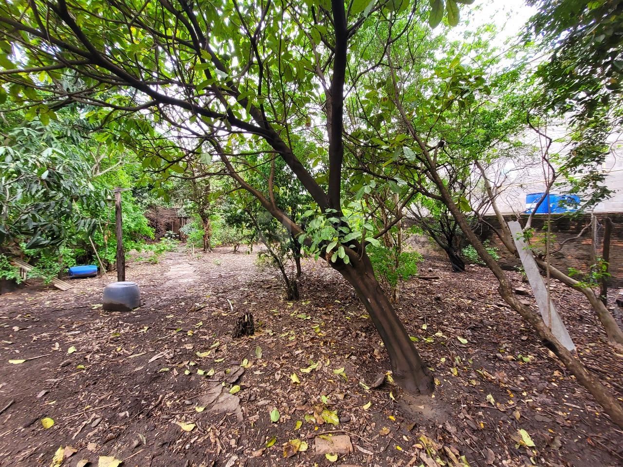 Terreno à venda no bairro Vila Camargo: 