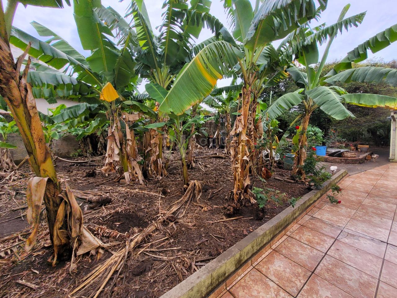 Terreno à venda no bairro Vila Camargo: 