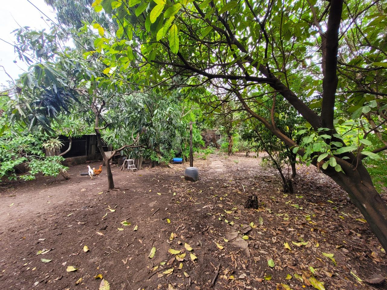 Terreno à venda no bairro Vila Camargo: 