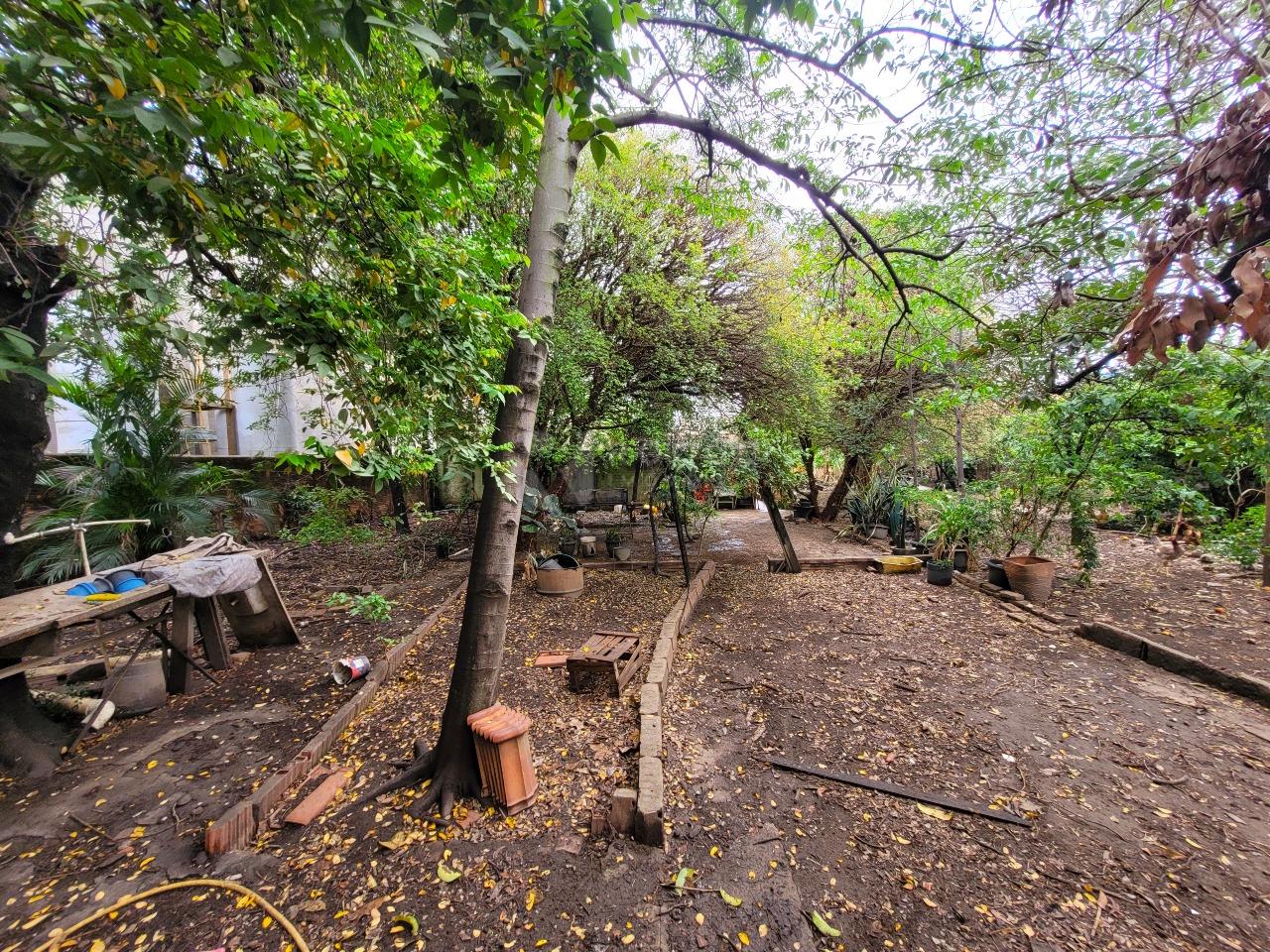 Terreno à venda no bairro Vila Camargo: 