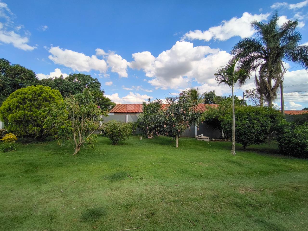 Chácara à venda no bairro Bairro dos Pires de Baixo: POMAR