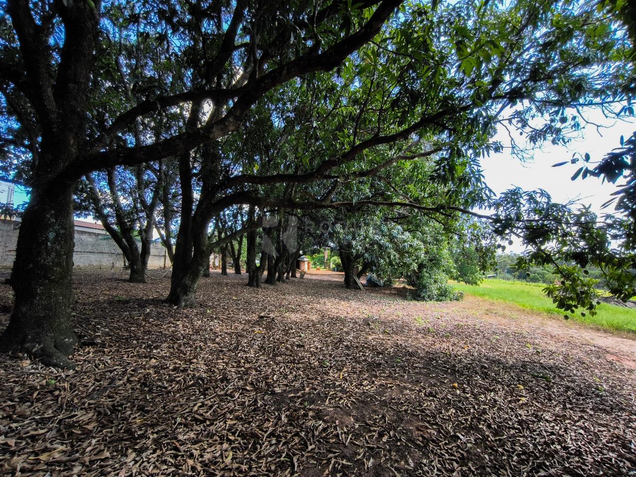 Área à venda no bairro Bairro do Pinhal: 