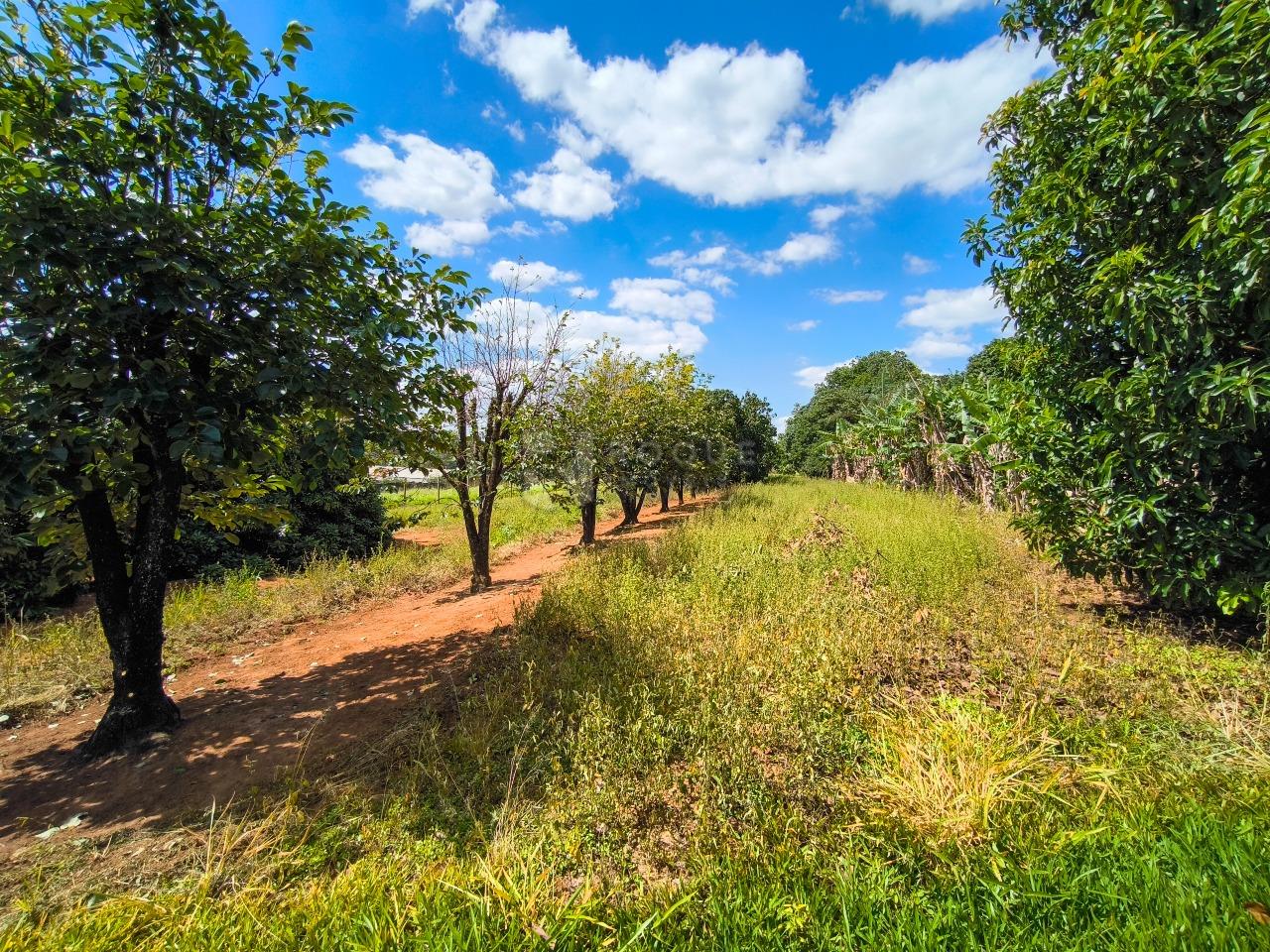 Área à venda no bairro Bairro do Pinhal: 