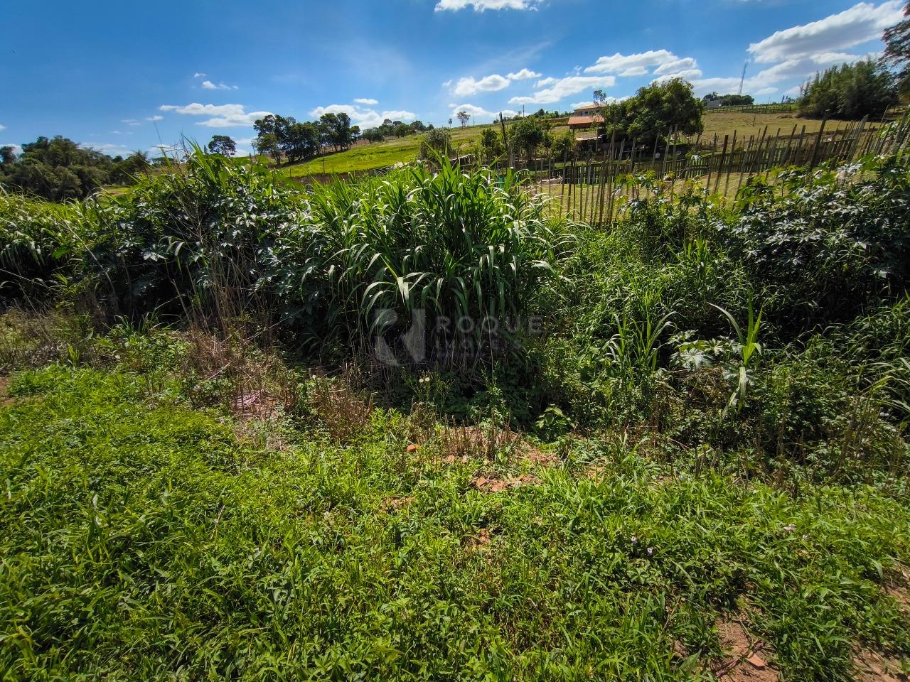 Área à venda no bairro Bairro do Pinhal: 