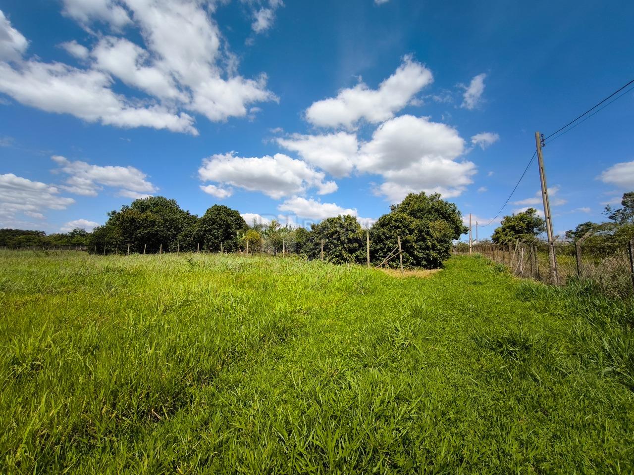 Área à venda no bairro Bairro do Pinhal: 