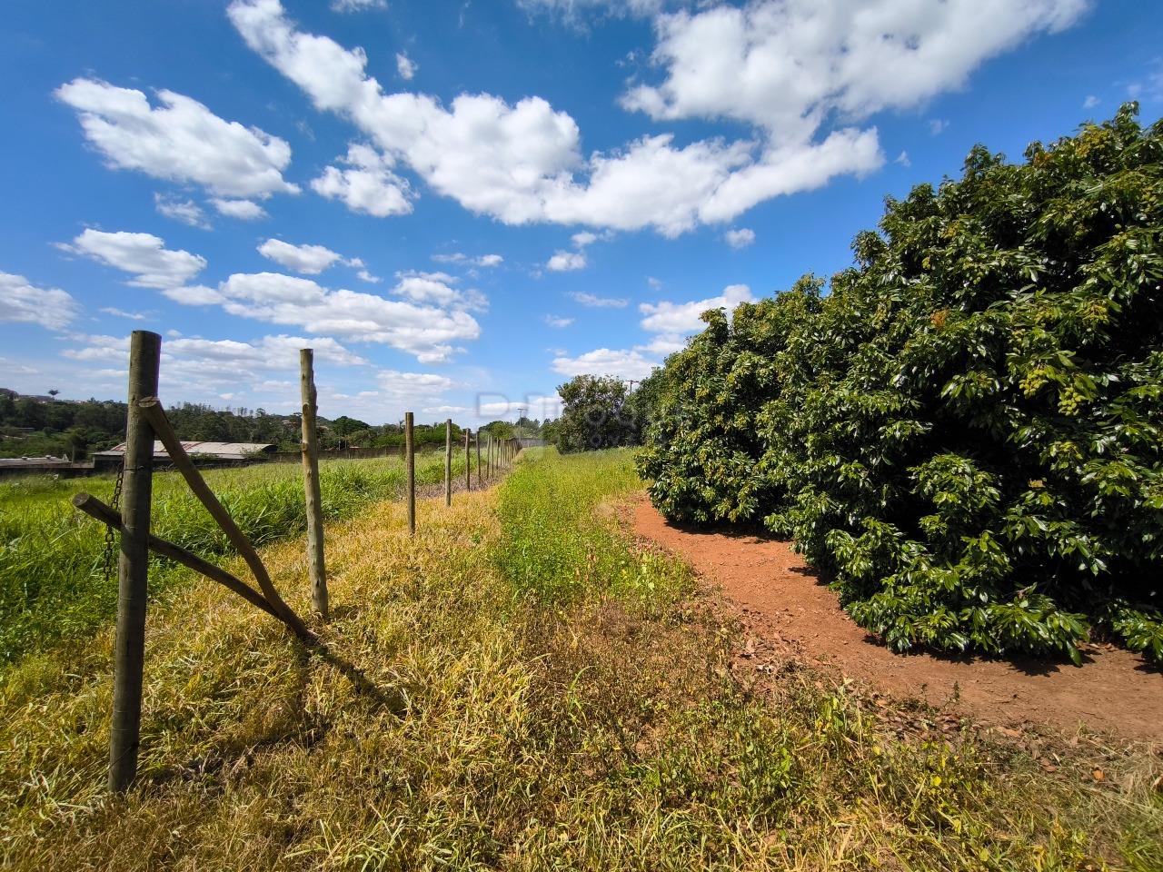 Área à venda no bairro Bairro do Pinhal: 