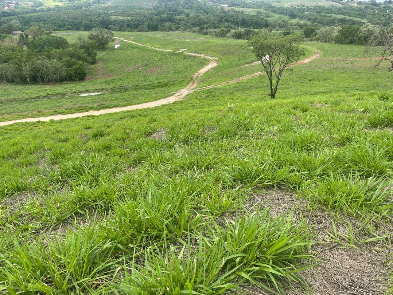Sítio à venda no bairro Barra Verde: 