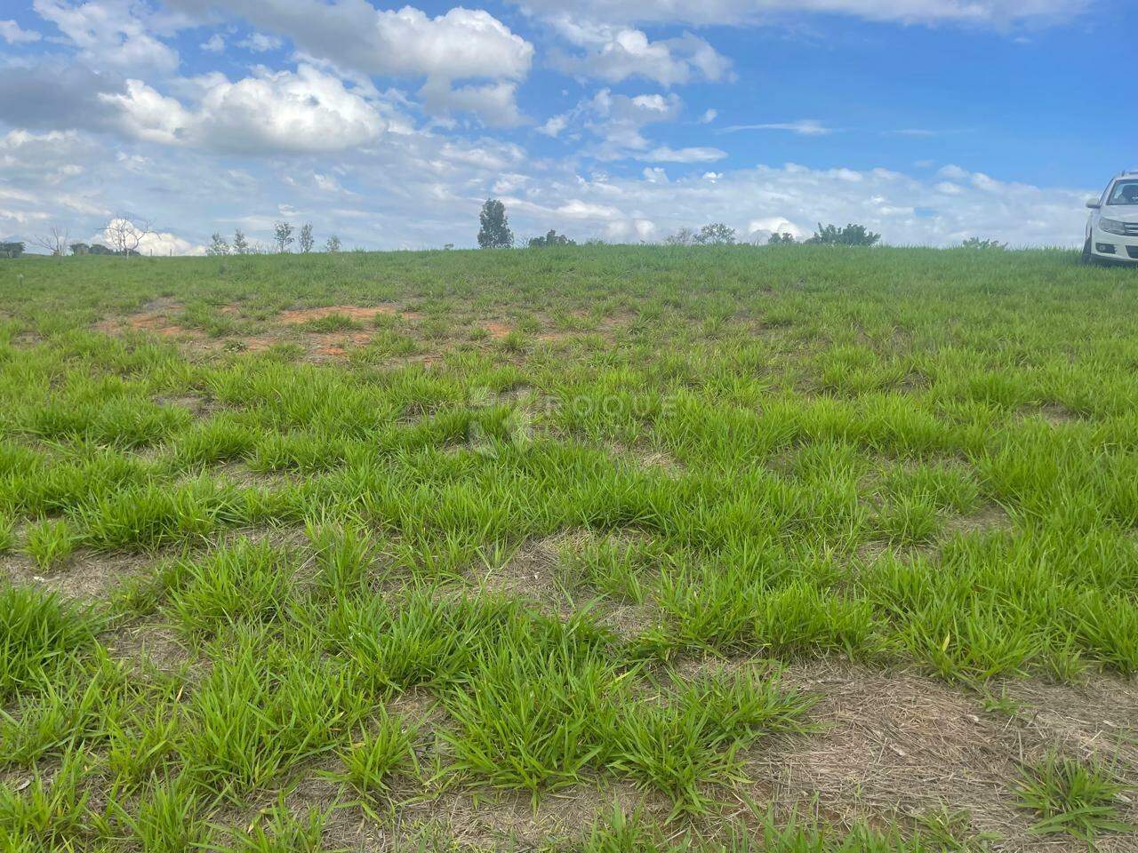 Sítio à venda no bairro Barra Verde: 