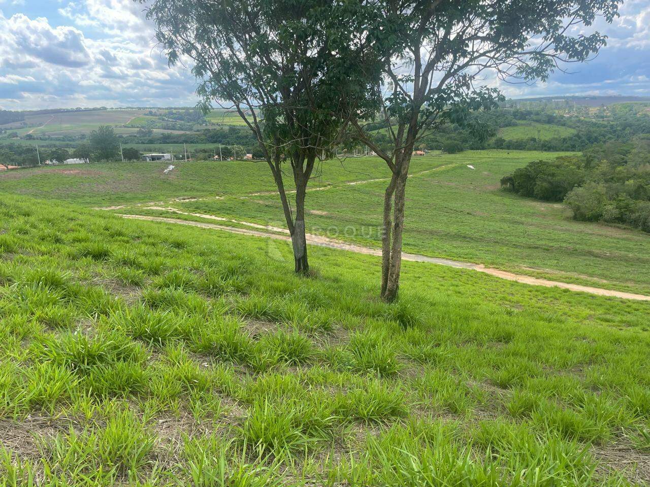 Sítio à venda no bairro Barra Verde: 