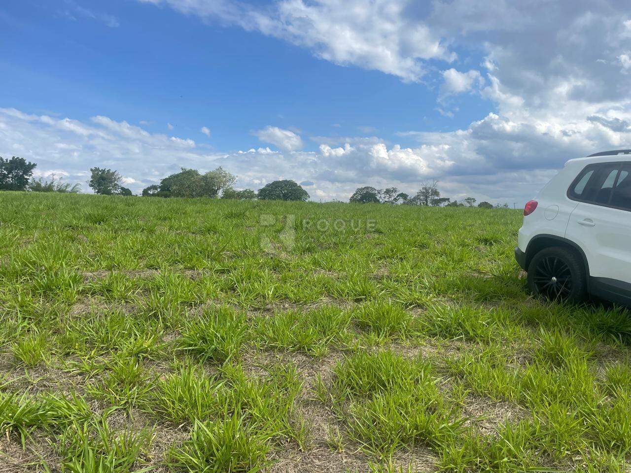 Sítio à venda no bairro Barra Verde: 