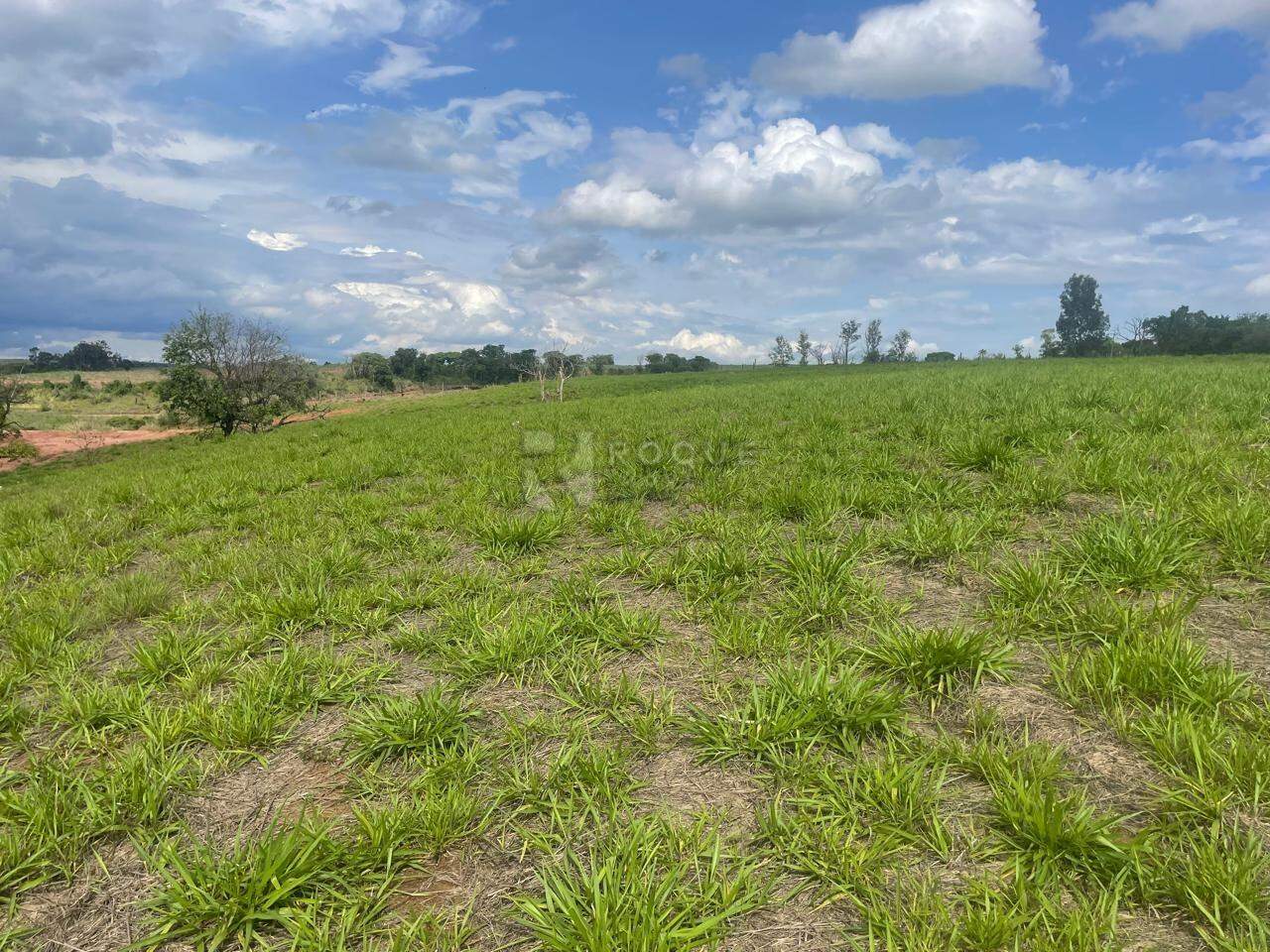 Sítio à venda no bairro Barra Verde: 