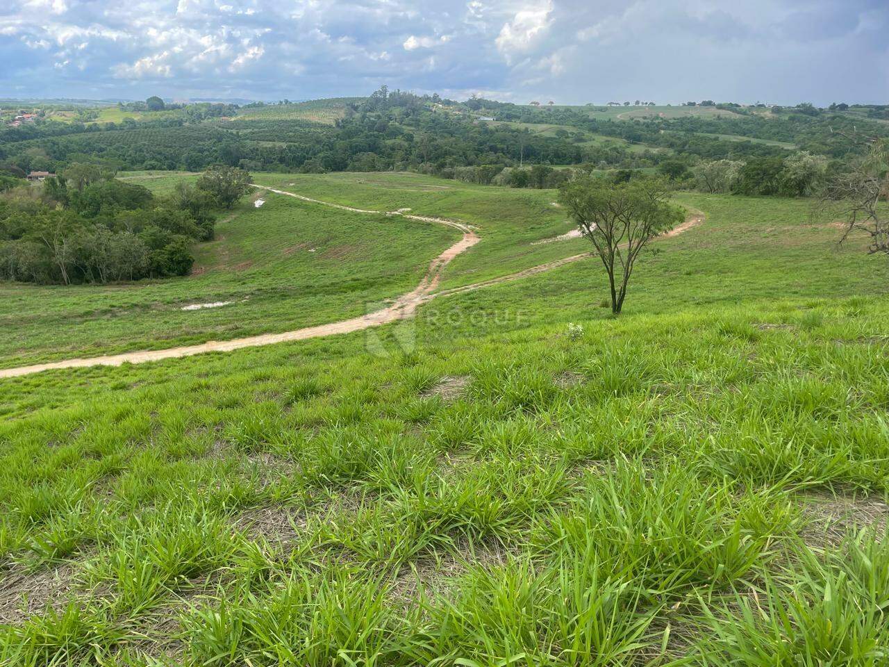 Sítio à venda no bairro Barra Verde: 