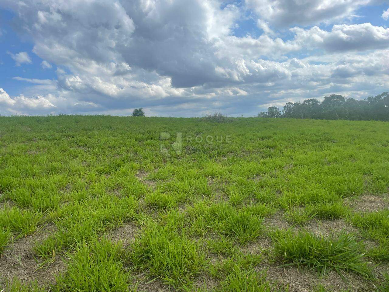 Sítio à venda no bairro Barra Verde: 