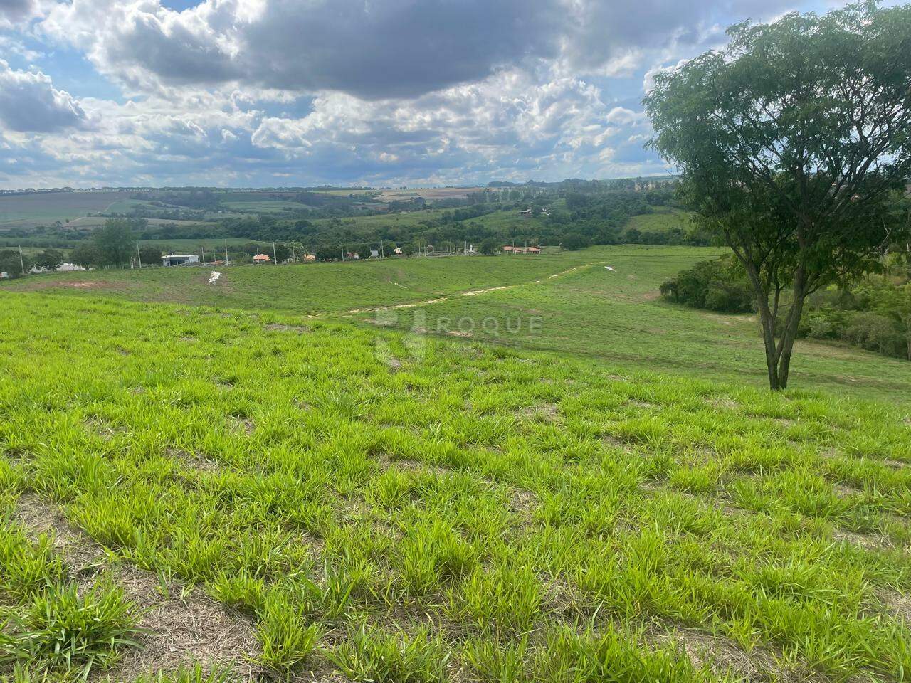 Sítio à venda no bairro Barra Verde: 