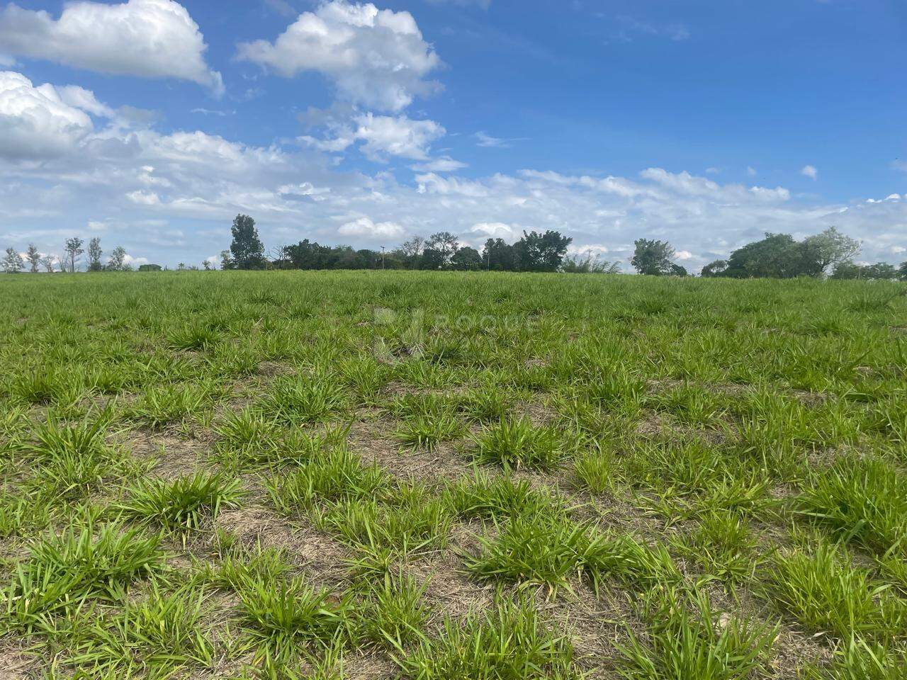Sítio à venda no bairro Barra Verde: 
