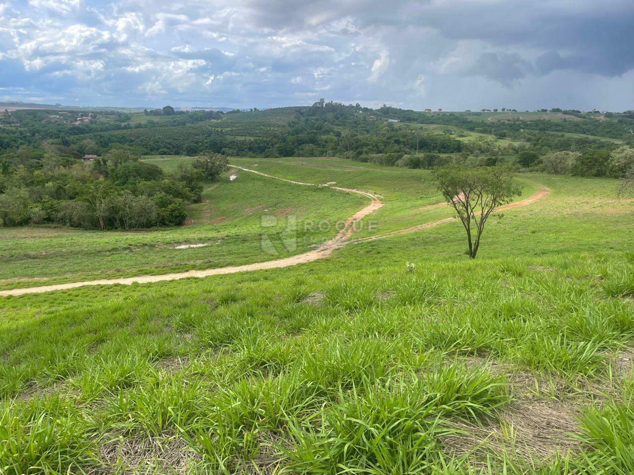 Sítio à venda no bairro Barra Verde: 