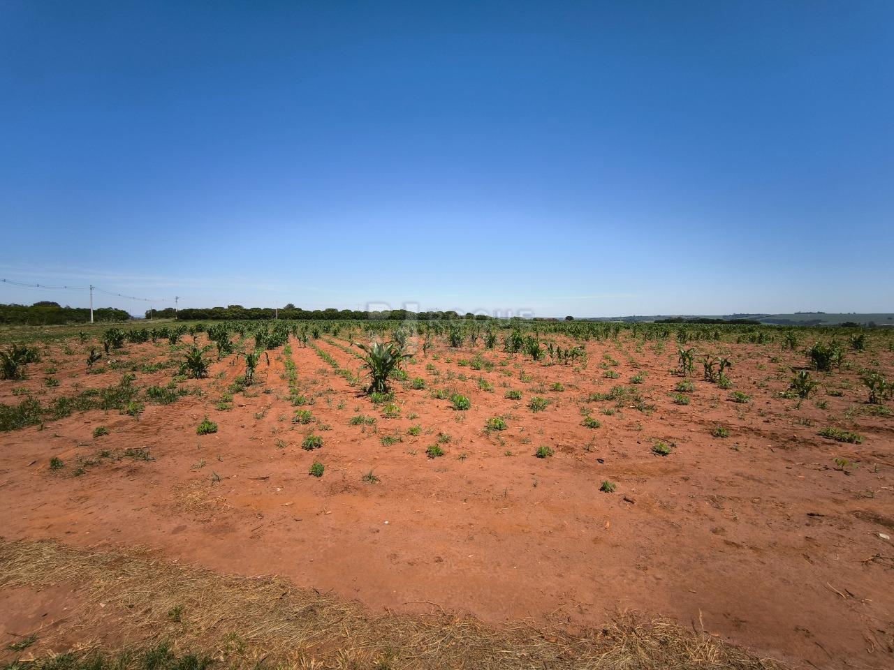 Área à venda no bairro Ribeirão do Pinhal: 