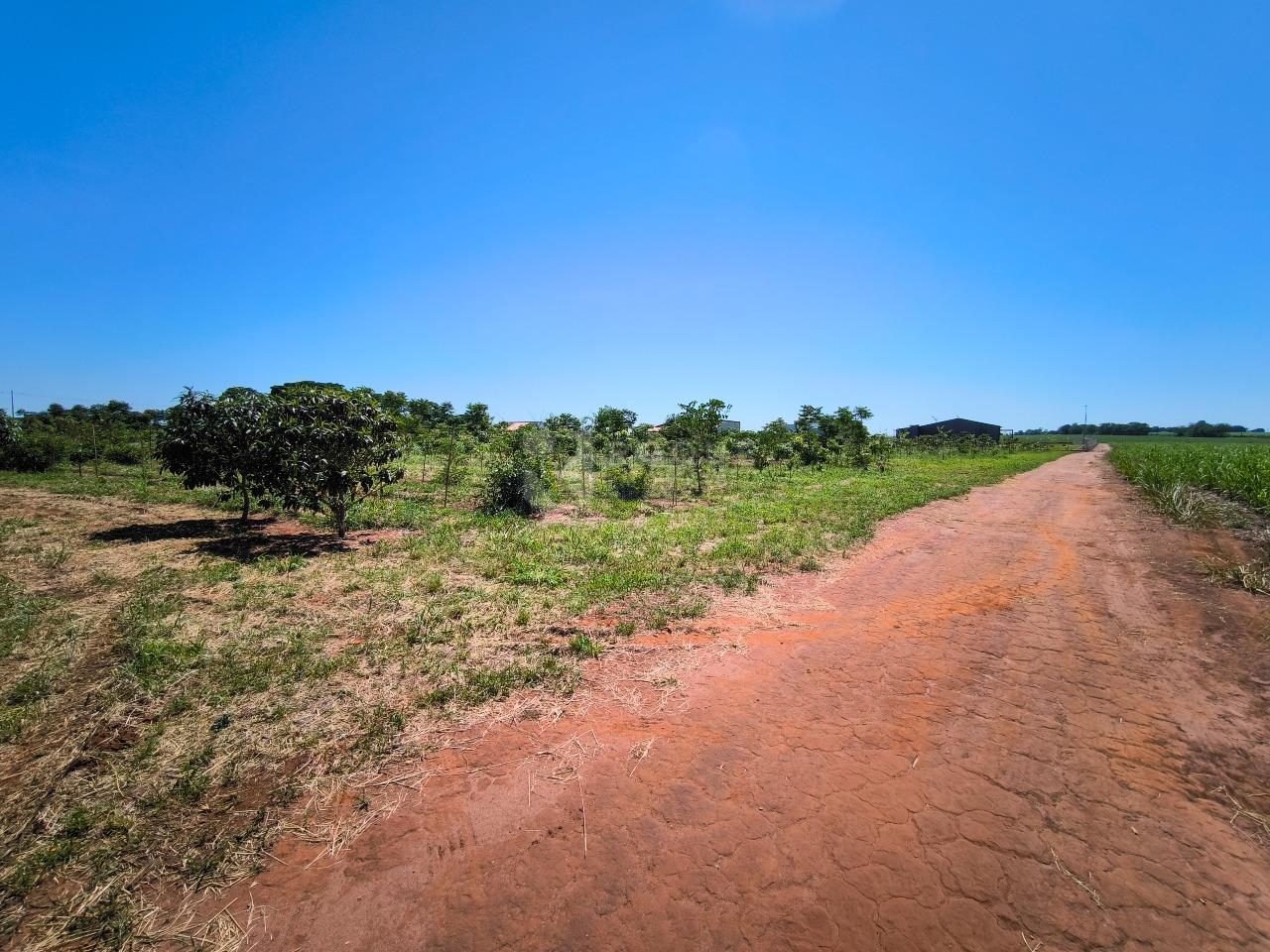 Área à venda no bairro Ribeirão do Pinhal: 