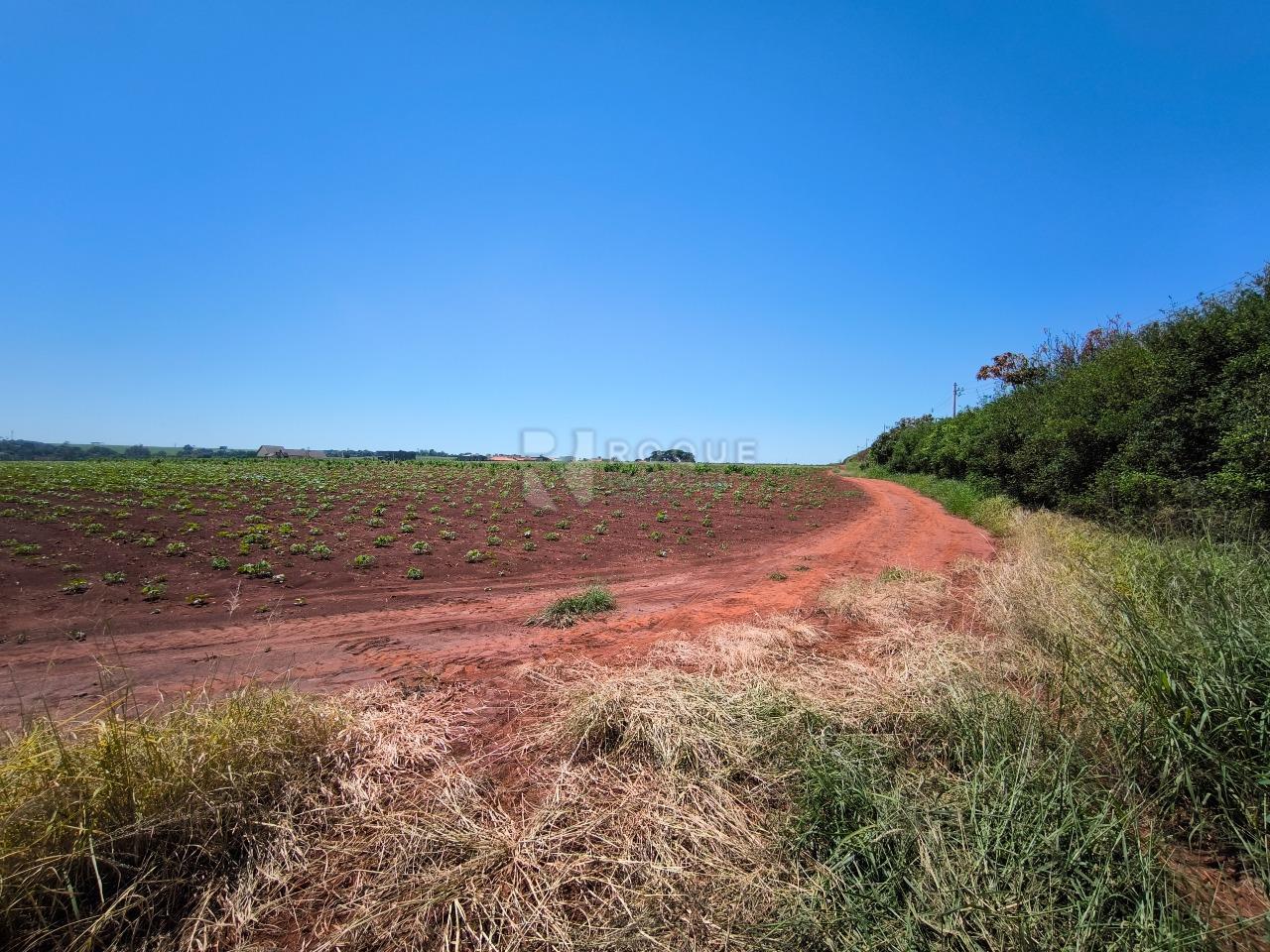 Área à venda no bairro Ribeirão do Pinhal: 