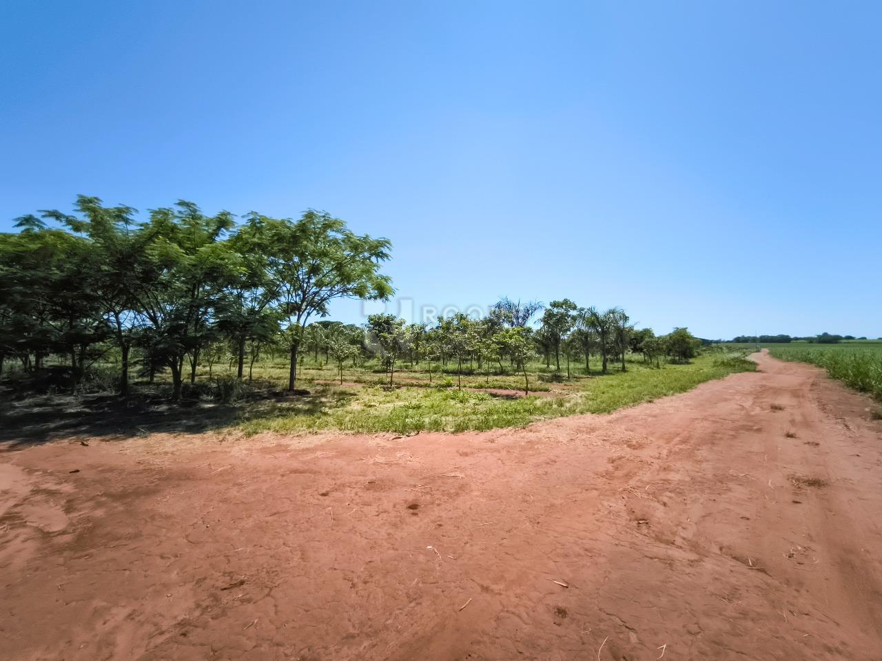 Área à venda no bairro Ribeirão do Pinhal: 