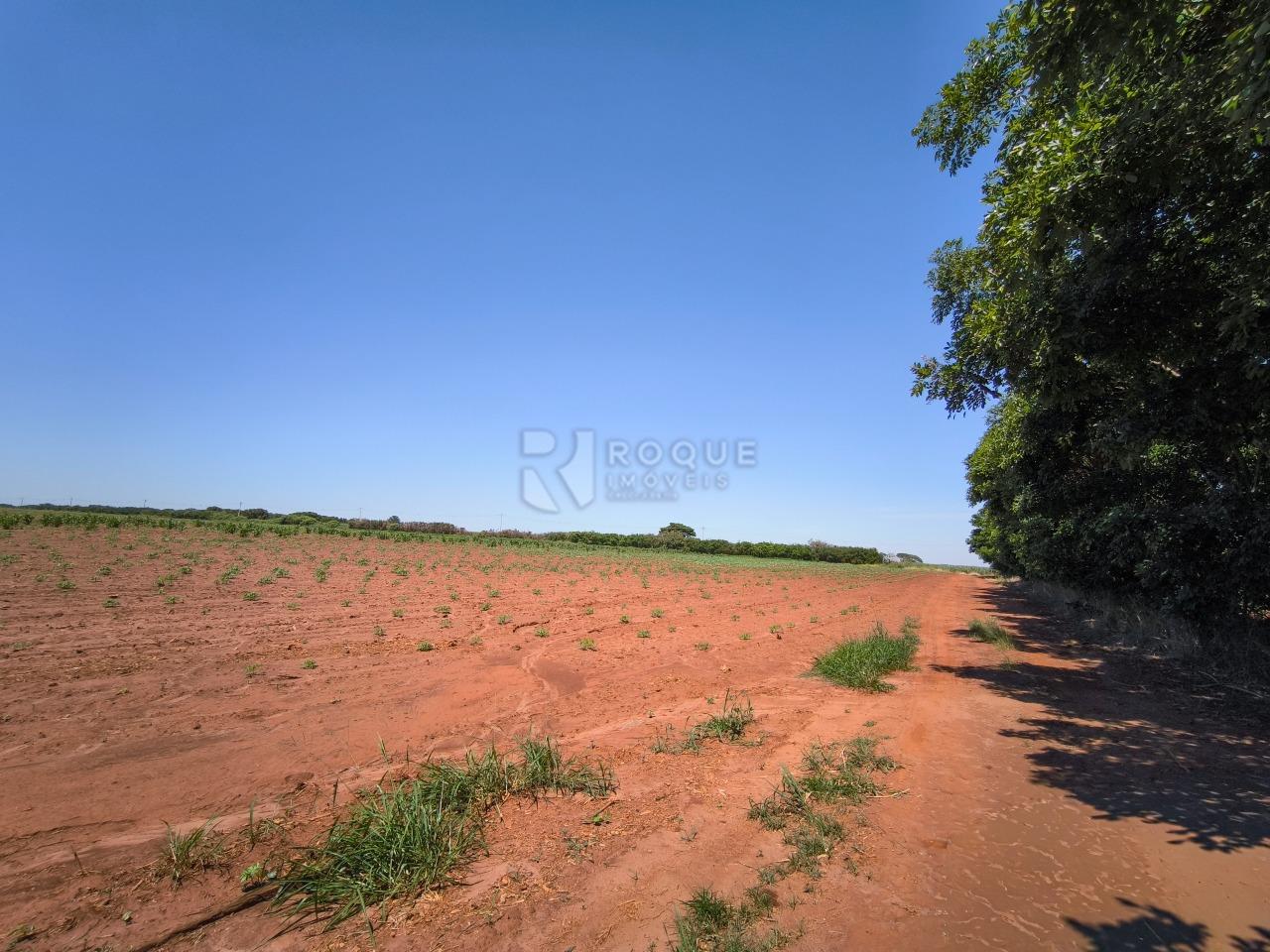 Área à venda no bairro Ribeirão do Pinhal: 