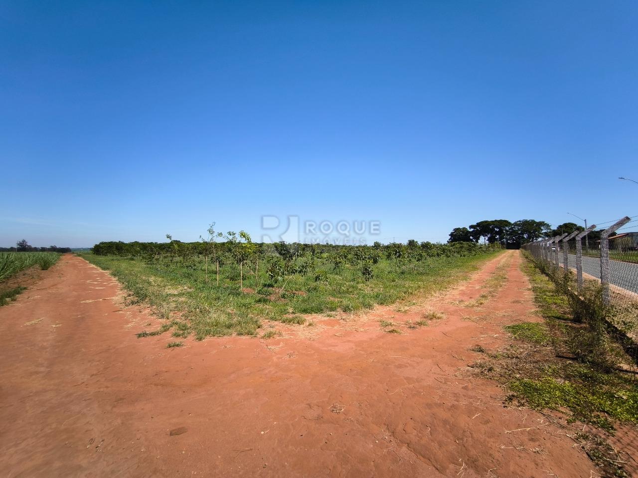 Área à venda no bairro Ribeirão do Pinhal: 